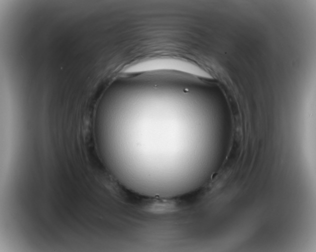 X0000086250369200704121956
