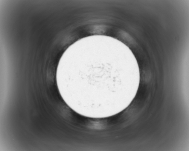 X0000086250370200704121956