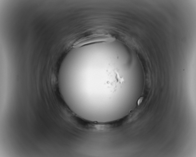 X0000086250371200704121956
