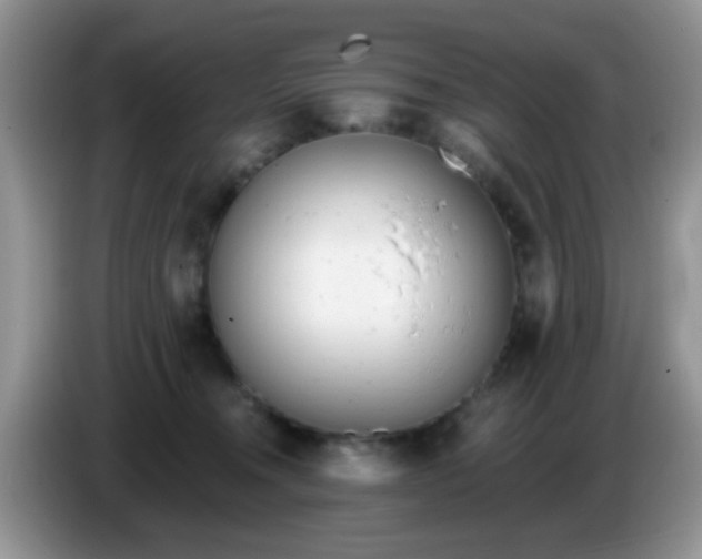 X0000086250372200704121956