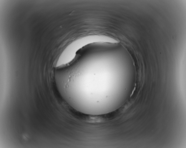 X0000086250376200704121956