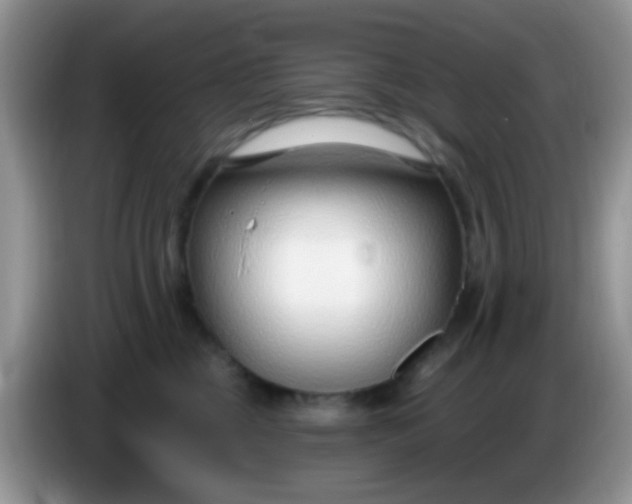 X0000086250377200704121956