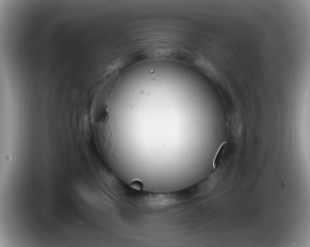 X0000086250378200704121956