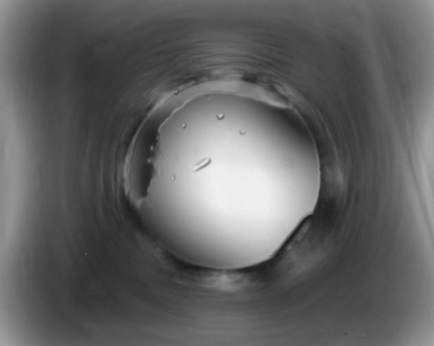 X0000086250379200704121956