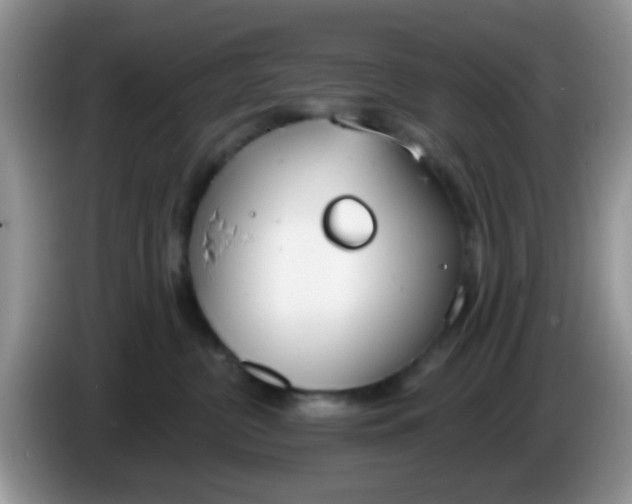 X0000086250380200704121956