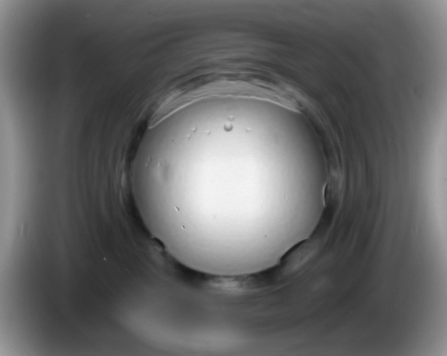 X0000086250381200704121956