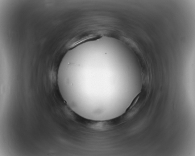 X0000086250382200704121956