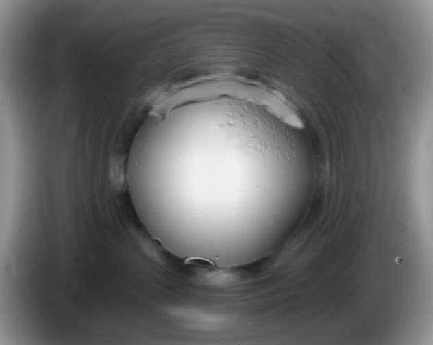 X0000086250383200704121956