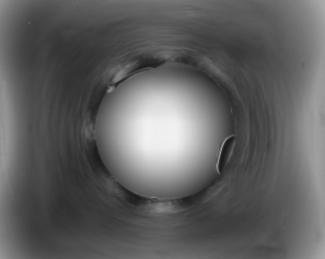 X0000086250384200704121956