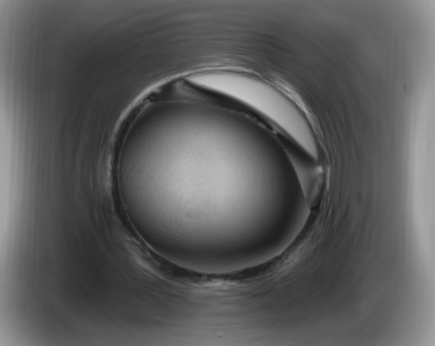 X0000086250387200704121956