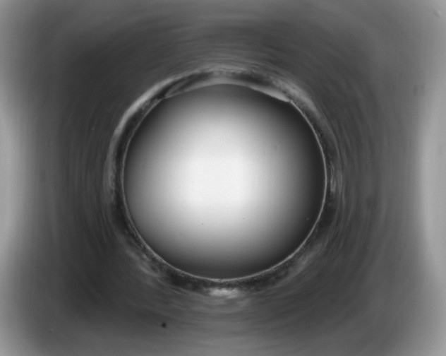 X0000086250388200704121956