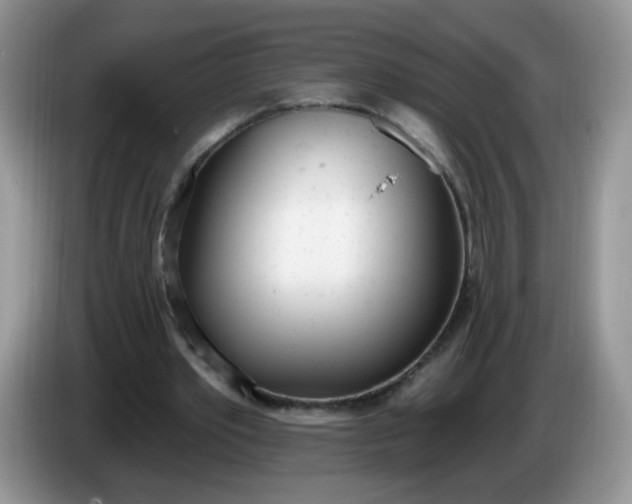 X0000086250389200704121956