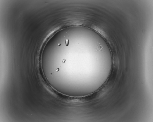X0000086250390200704121956