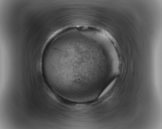 X0000086250391200704121956