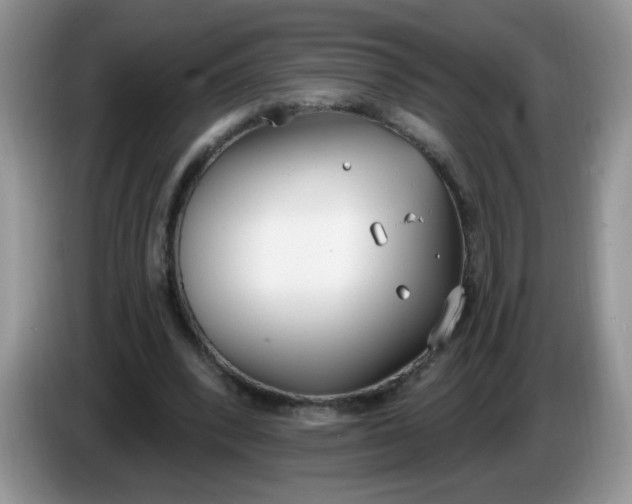 X0000086250392200704121956