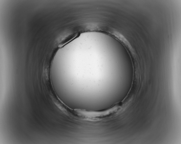 X0000086250393200704121956