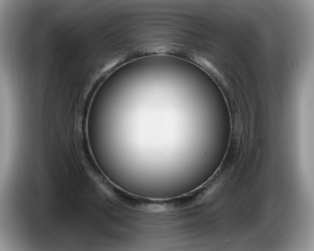 X0000086250394200704121955