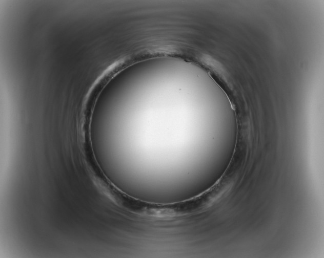 X0000086250395200704121955