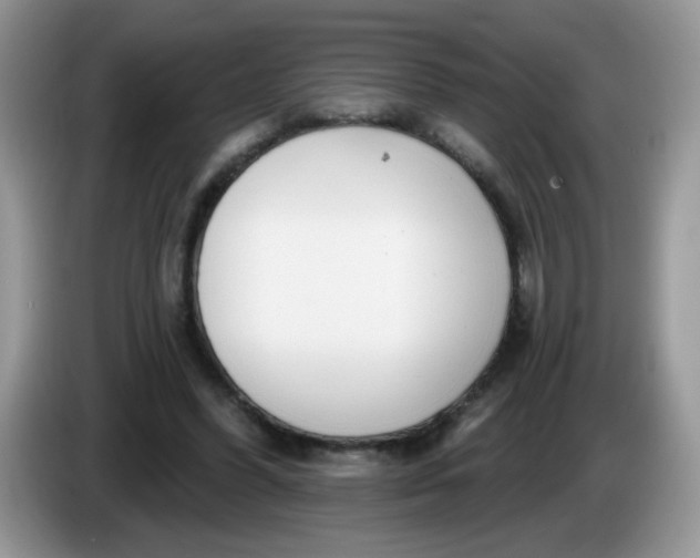 X0000086250396200704121955