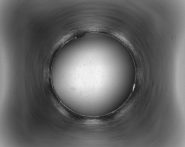 X0000086250397200704121955