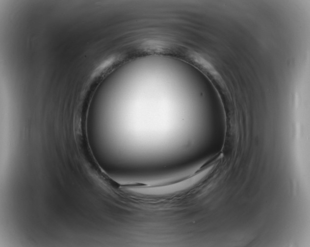 X0000086250399200704121955