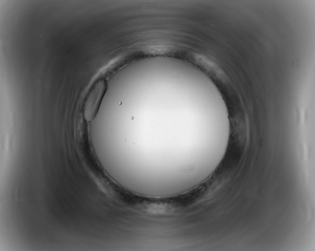 X0000086250400200704121955