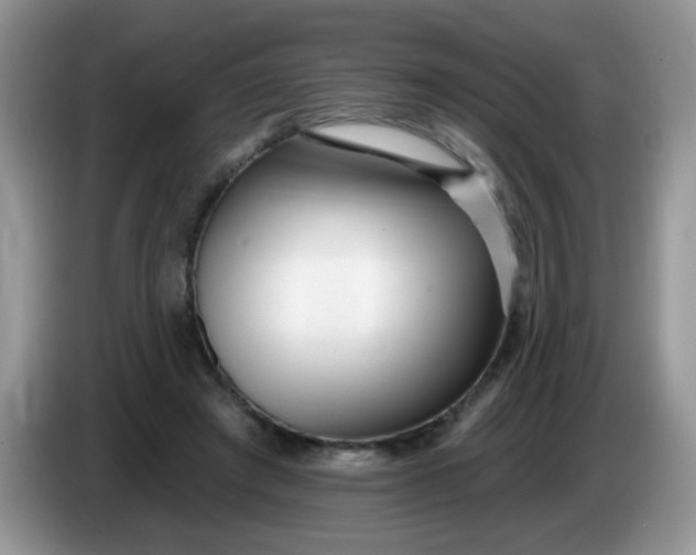 X0000086250401200704121955