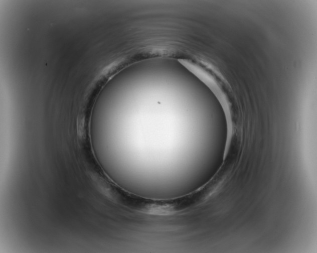 X0000086250403200704121955