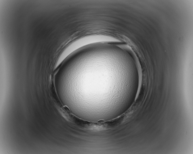 X0000086250405200704121955