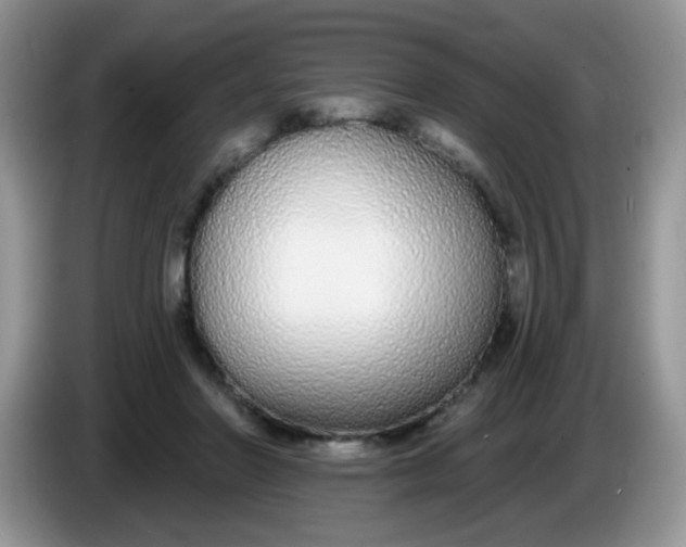 X0000086250406200704121955