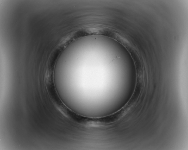 X0000086250408200704121955