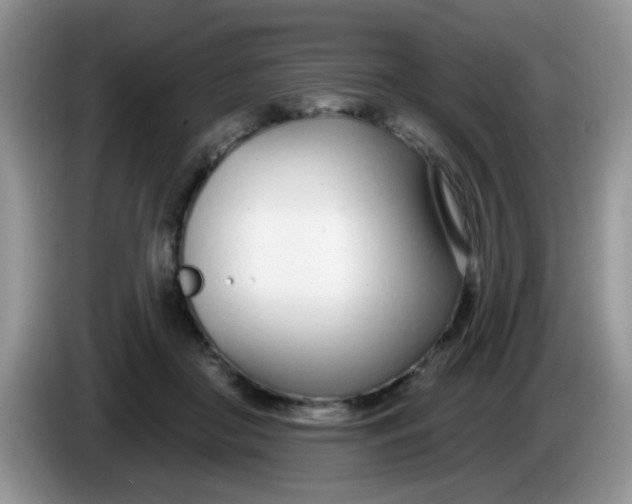 X0000086250410200704121955