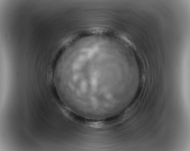 X0000086250411200704121955