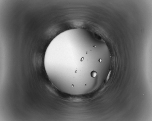 X0000086250412200704121955