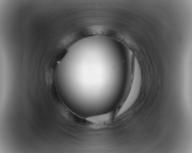 X0000086250413200704121955