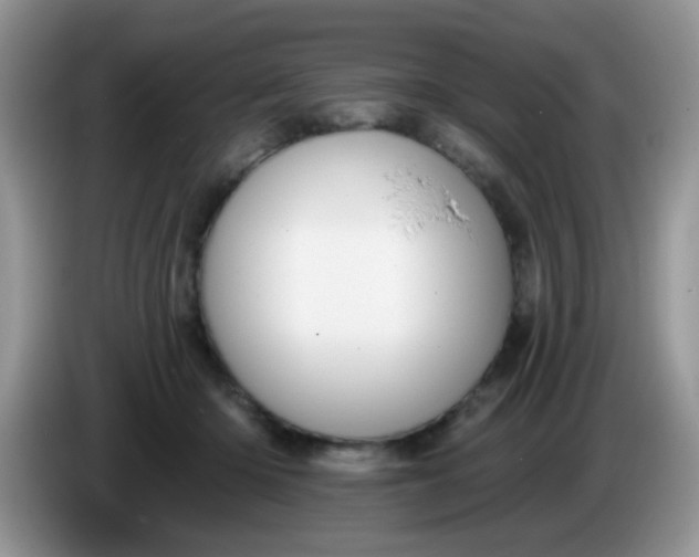 X0000086250414200704121955