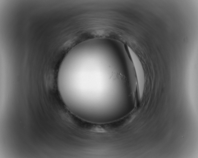 X0000086250416200704121955