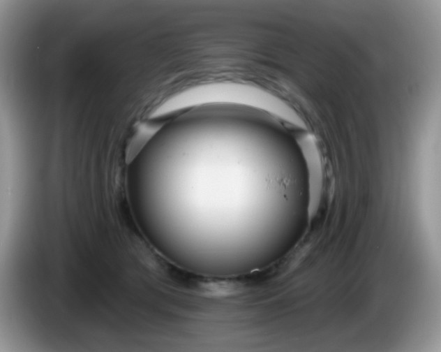 X0000086250417200704121955