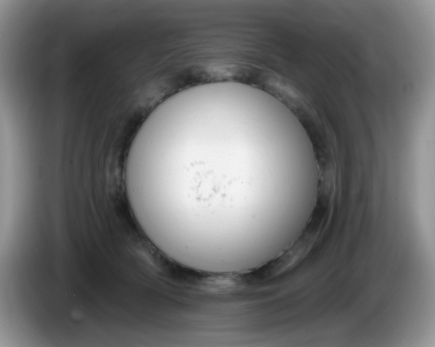 X0000086250418200704121955