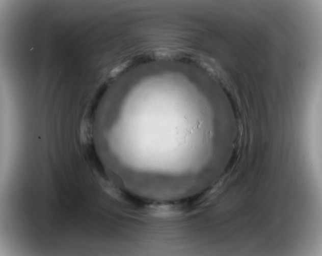 X0000086250419200704121955
