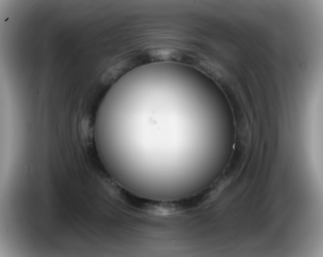 X0000086250420200704121955