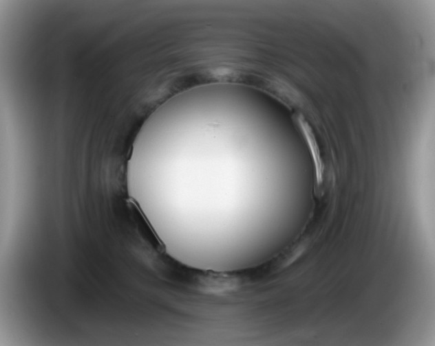 X0000086250421200704121955