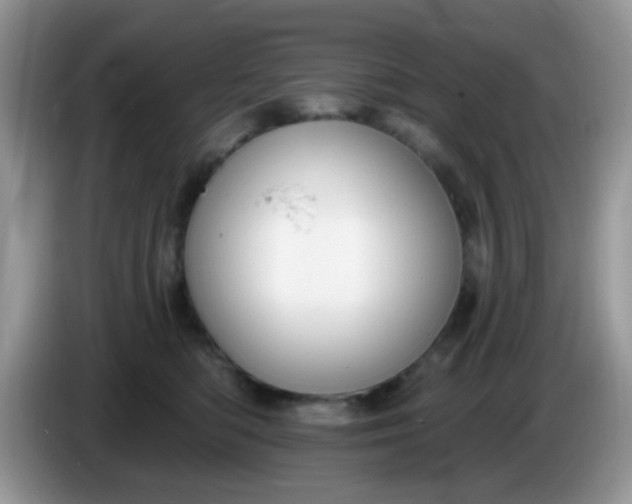 X0000086250422200704121955