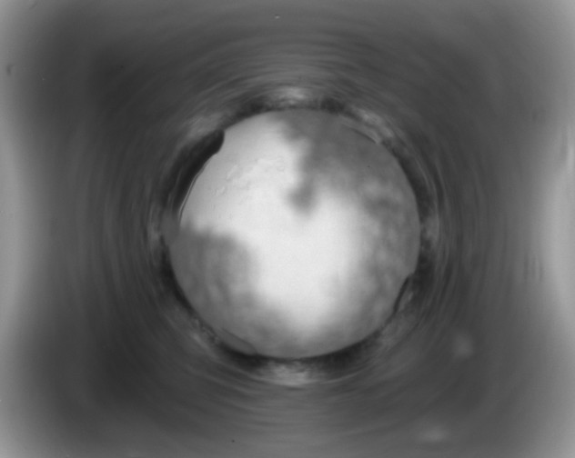 X0000086250423200704121955