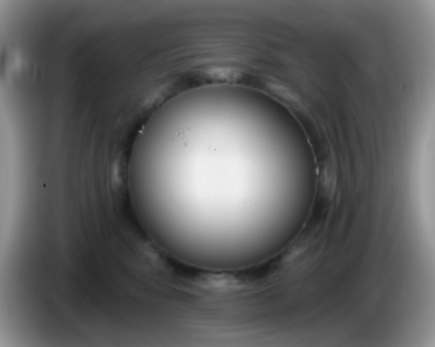 X0000086250424200704121955