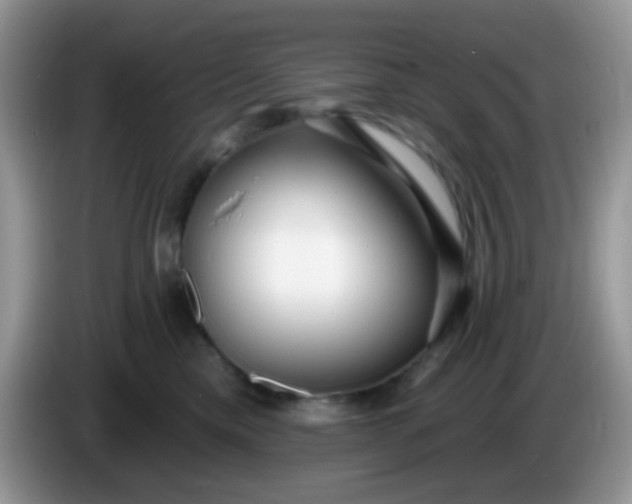 X0000086250425200704121955