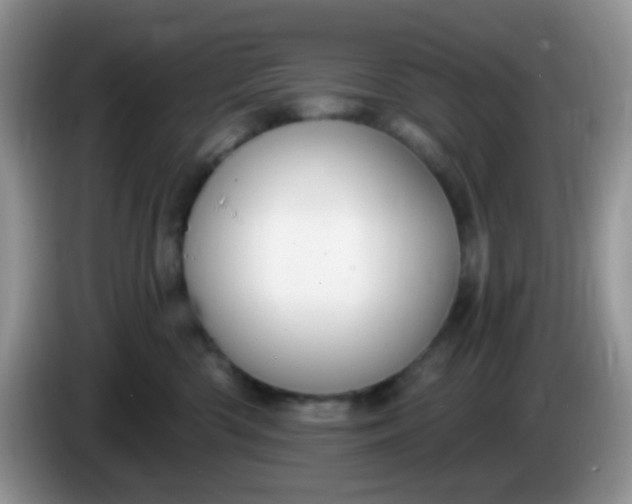 X0000086250426200704121955