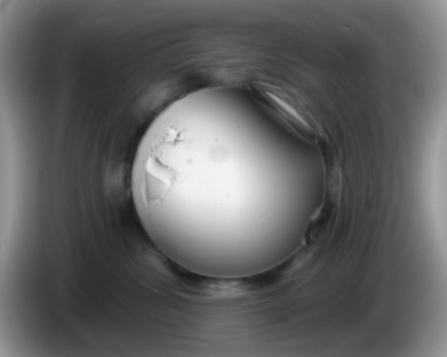 X0000086250428200704121955