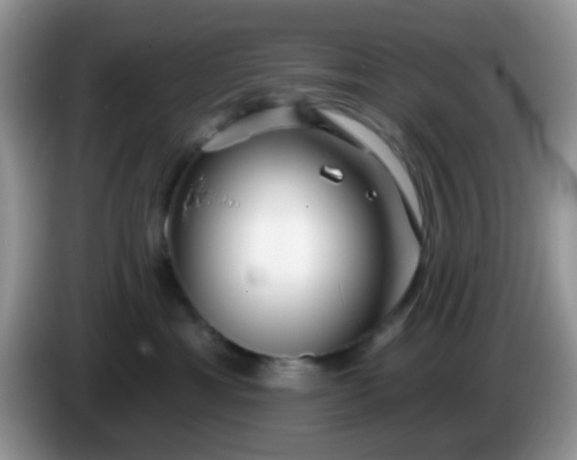 X0000086250429200704121955