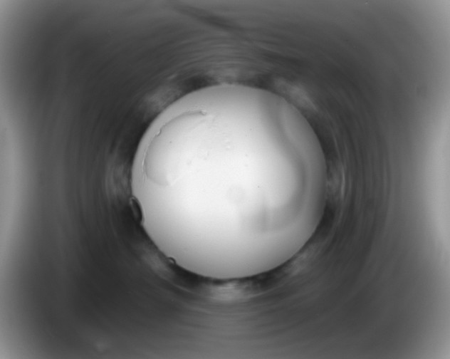 X0000086250430200704121955